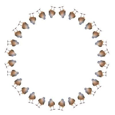 Brighton Pavilion Mandala