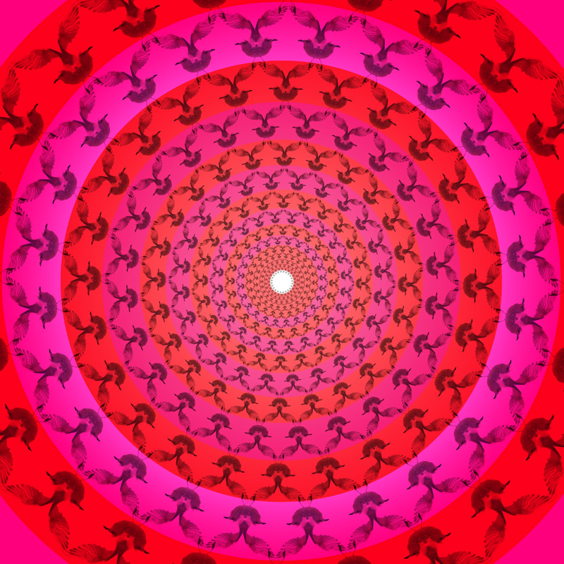 Brighton Mandalaman Art Print Artist